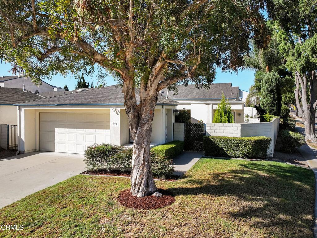 5-web-or-mls-901 Ruby-5