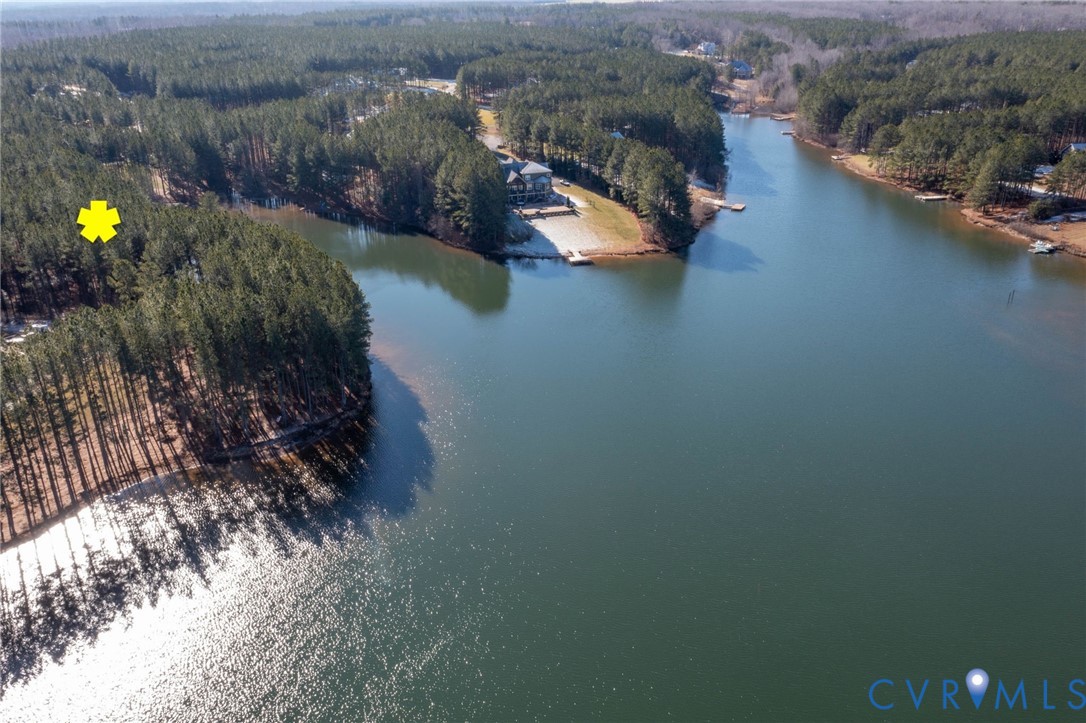 Aerial view of a forest and a large body of water