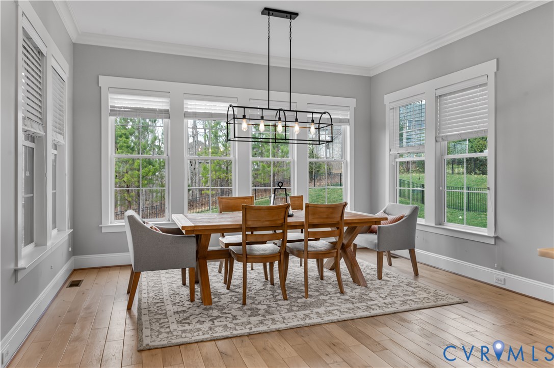 16030 Drumone Road, Midlothian, VA 23112