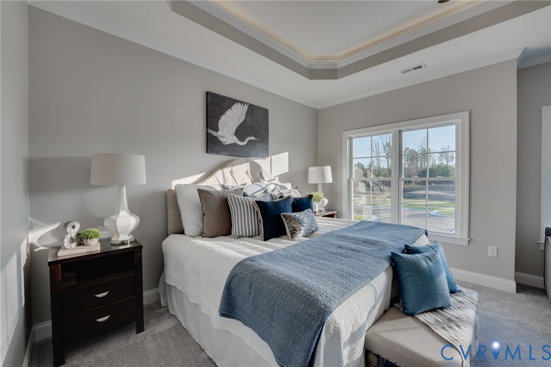 Bedroom featuring a tray ceiling with crown molding, light gray wall finishes, a large window with white trim, and gray carpet flooring