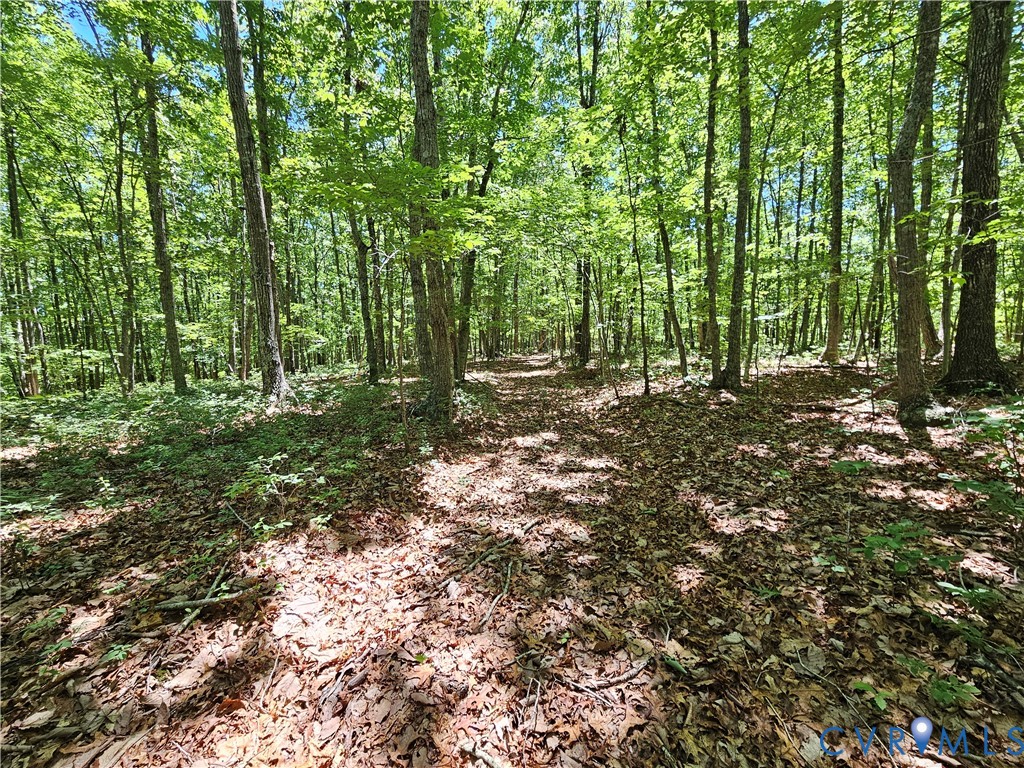 15 Ac Manteo Road, Buckingham, VA 23921