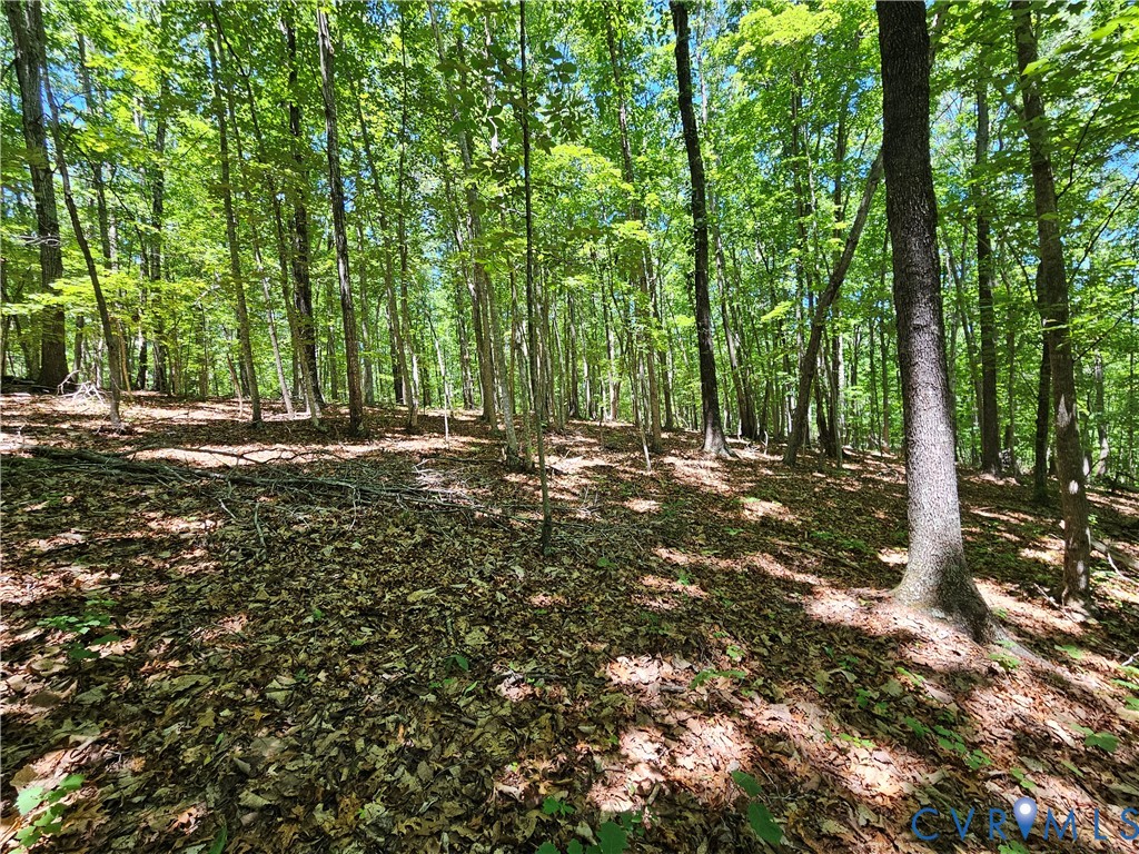 15 Ac Manteo Road, Buckingham, VA 23921