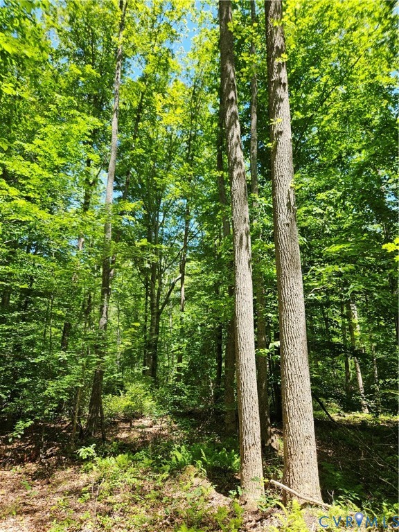 15 Ac Manteo Road, Buckingham, VA 23921