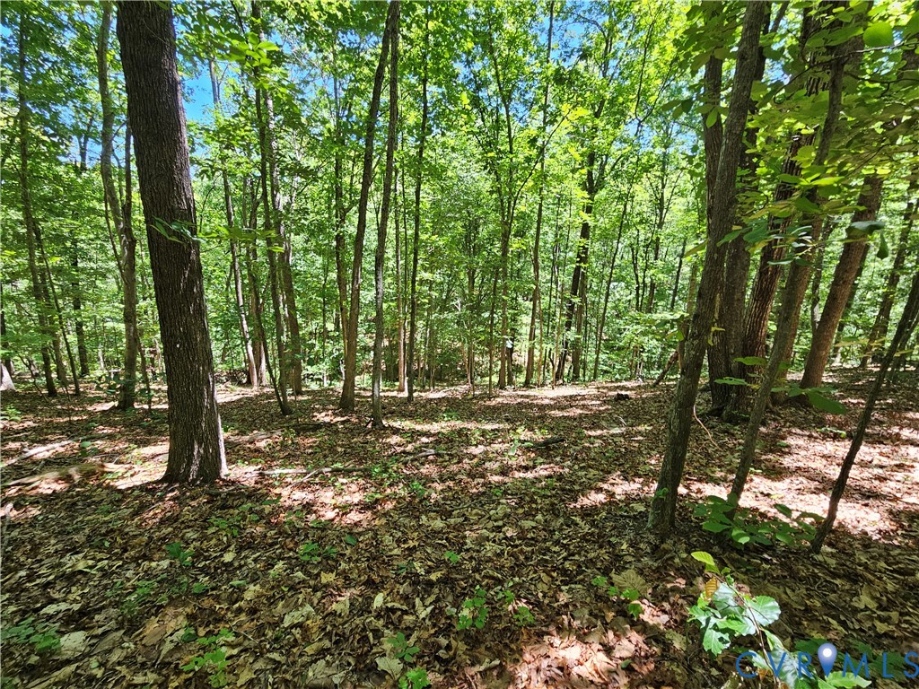 15 Ac Manteo Road, Buckingham, VA 23921