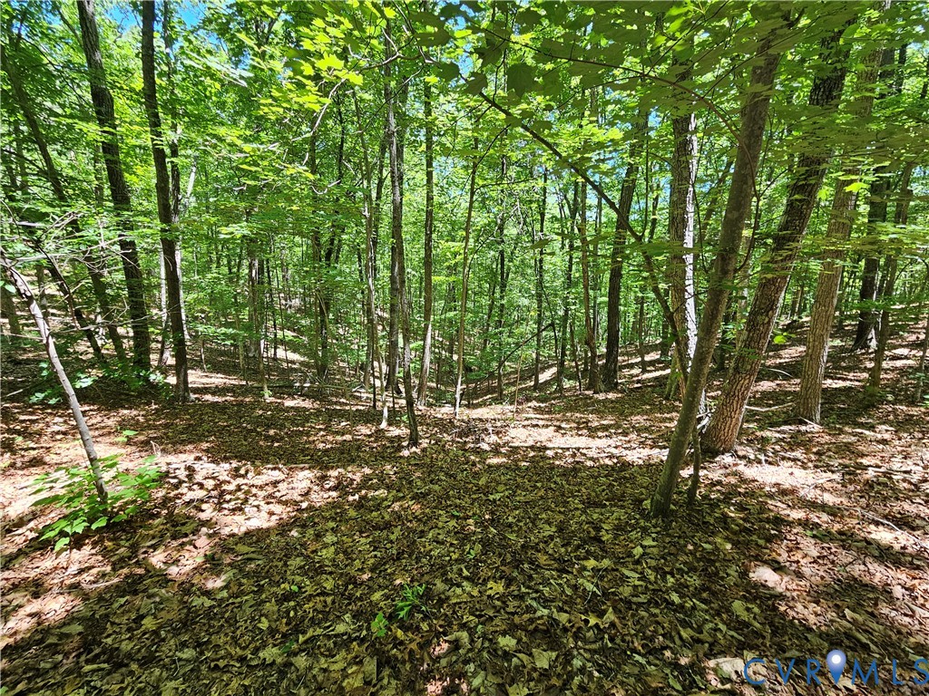 15 Ac Manteo Road, Buckingham, VA 23921