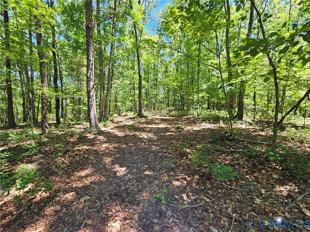 15 Ac Manteo Road, Buckingham, VA 23921