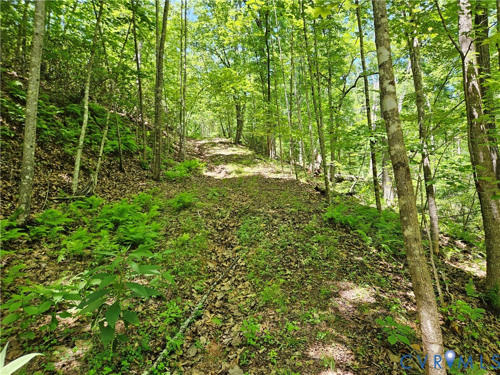 15 Ac Manteo Road, Buckingham, VA 23921