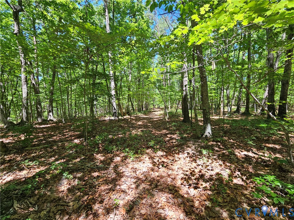 15 Ac Manteo Road, Buckingham, VA 23921