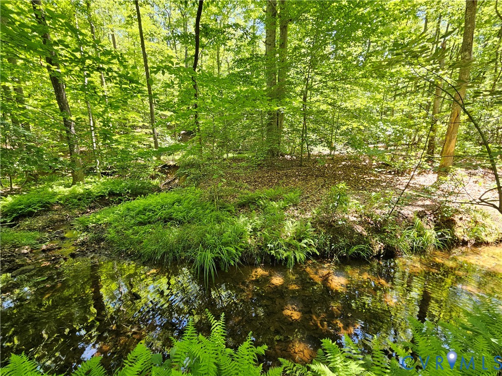 15 Ac Manteo Road, Buckingham, VA 23921