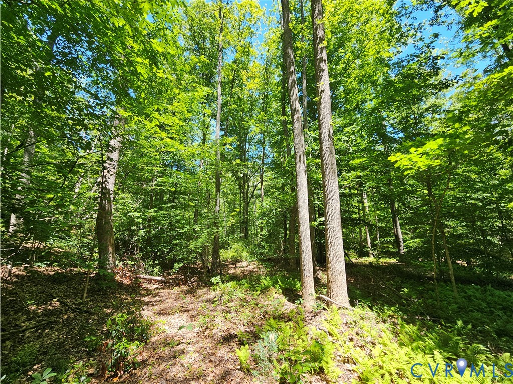 15 Ac Manteo Road, Buckingham, VA 23921