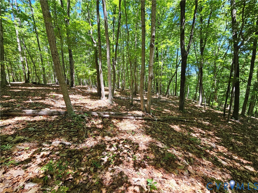 15 Ac Manteo Road, Buckingham, VA 23921