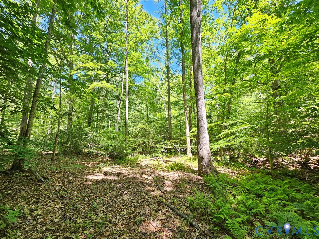 15 Ac Manteo Road, Buckingham, VA 23921
