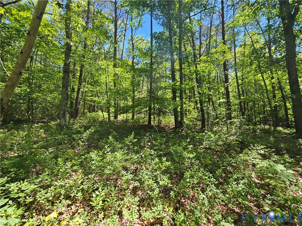 15 Ac Manteo Road, Buckingham, VA 23921