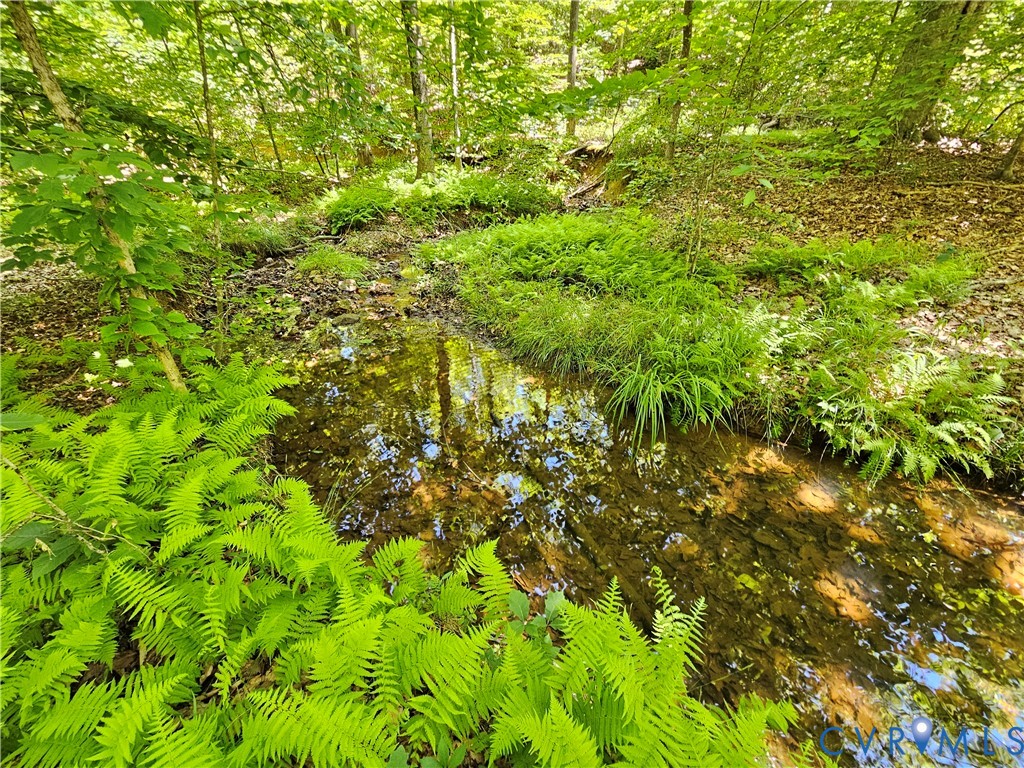 15 Ac Manteo Road, Buckingham, VA 23921
