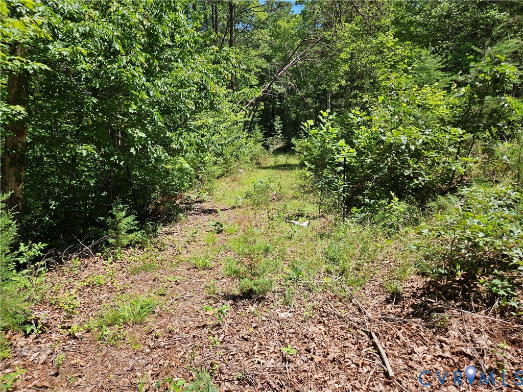 15 Ac Manteo Road, Buckingham, VA 23921