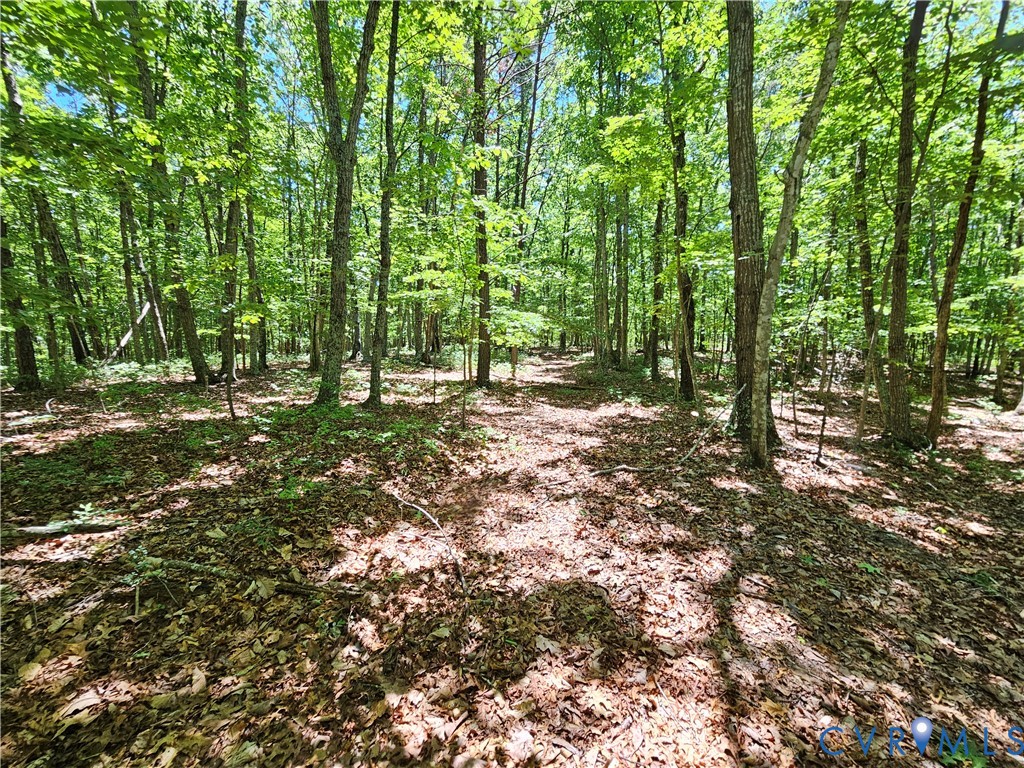 15 Ac Manteo Road, Buckingham, VA 23921