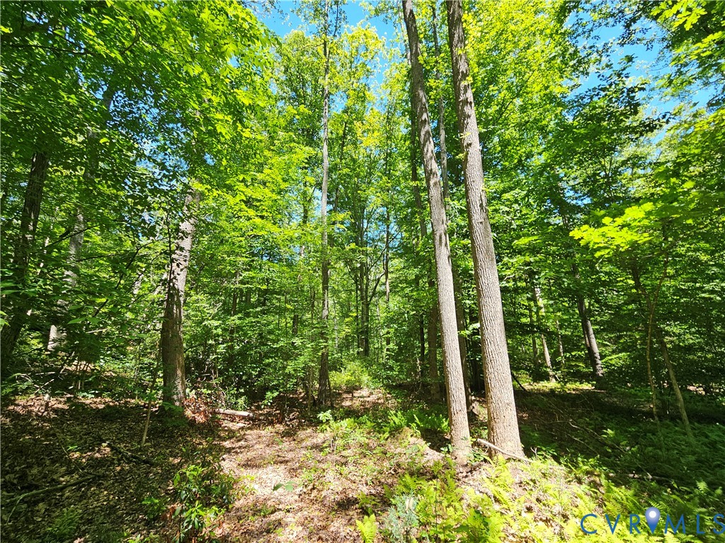 15 Ac Manteo Road, Buckingham, VA 23921