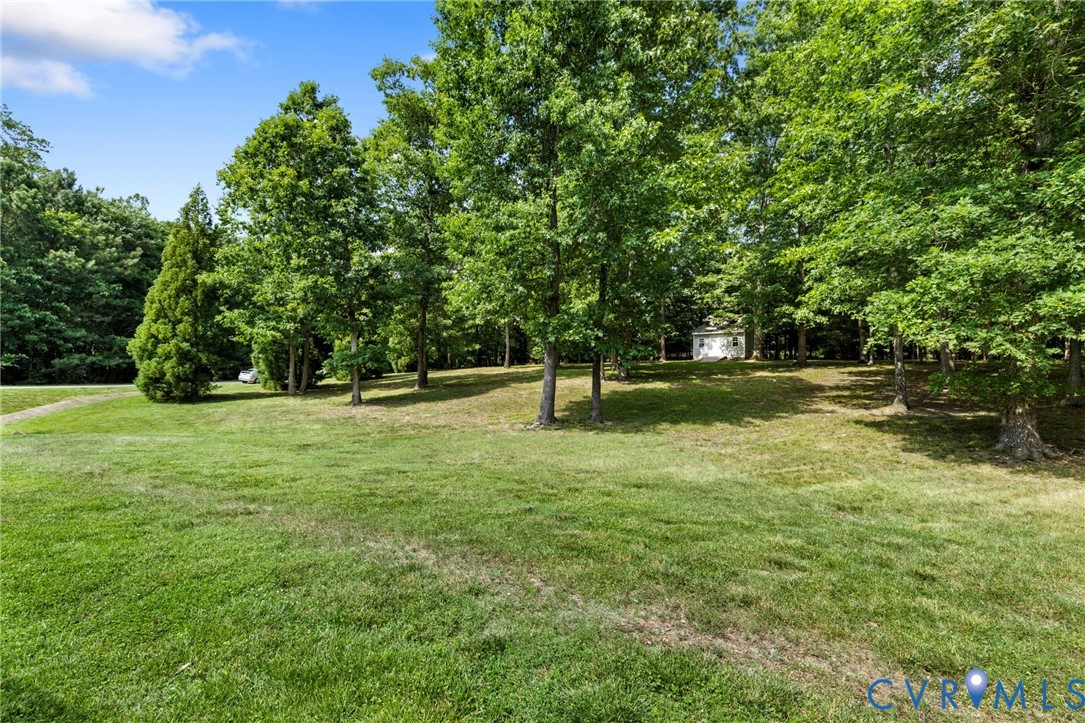 Expansive grassy area featuring numerous mature trees and a distant structure with white siding