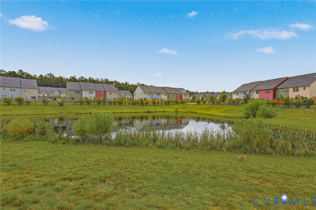 Expansive green space featuring a pond with natural vegetation, bordered by residential properties