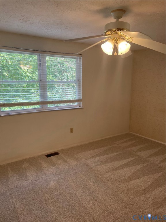 New Carpet
