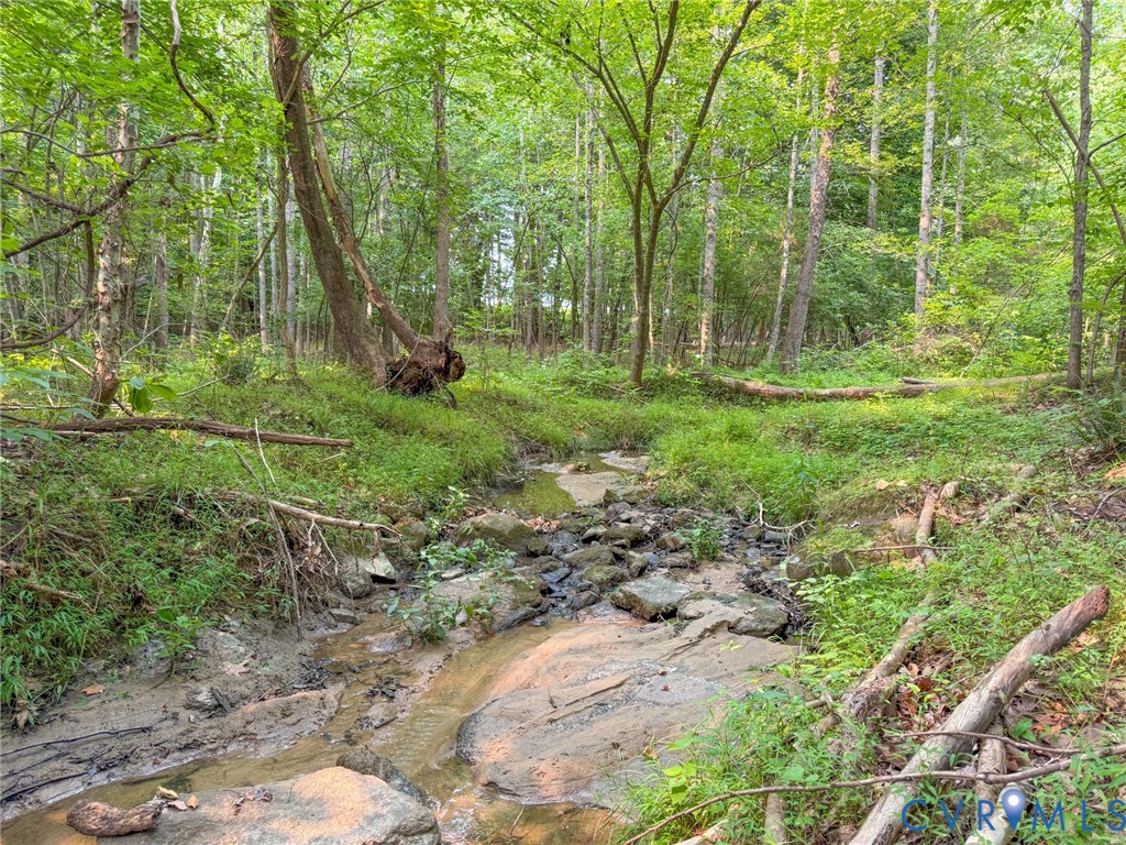 Wooded lot featuring a natural stream with rock formations, surrounded by lush green foliage and mature trees