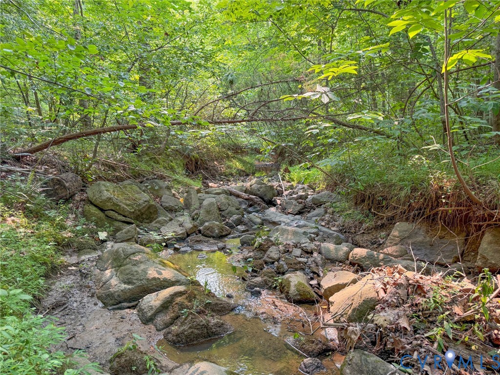Wooded natural setting featuring a rocky creek bed and mature trees