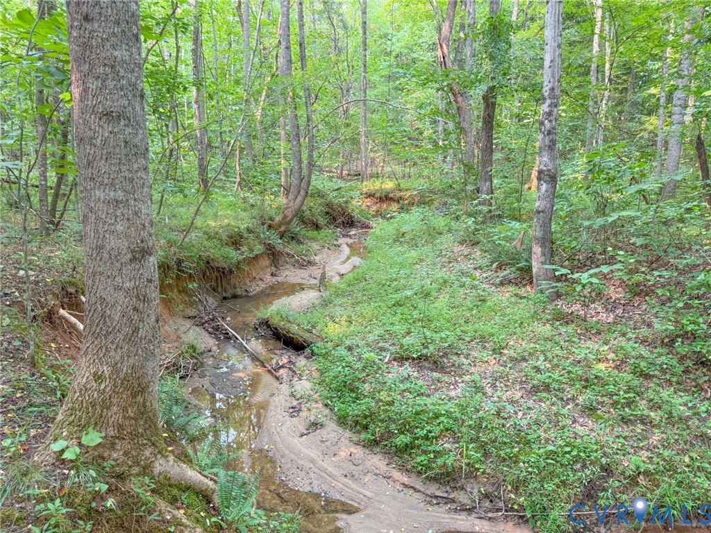 Wooded terrain featuring a natural stream bed, abundant mature trees, and dense ground cover