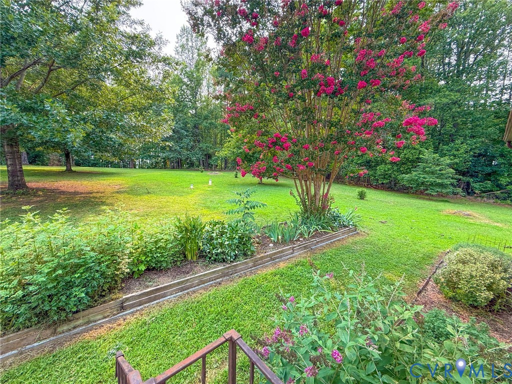 Expansive green lawn with mature trees and vibrant flowering shrubs