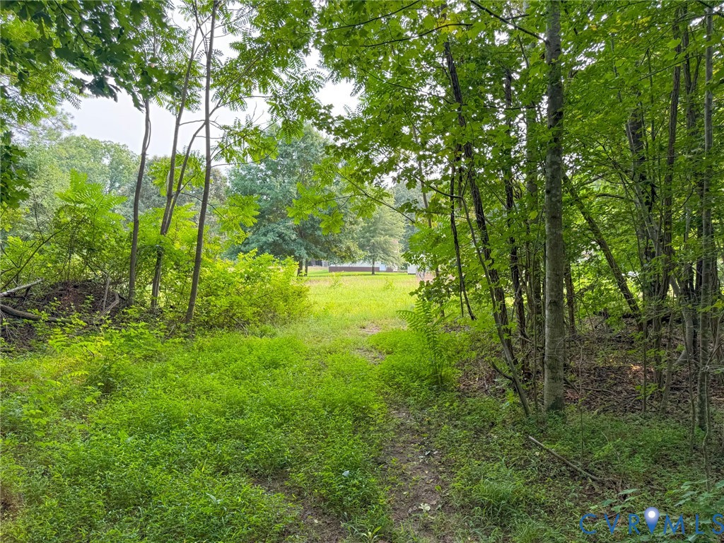 Wooded property featuring a cleared path leading to an open grassy area