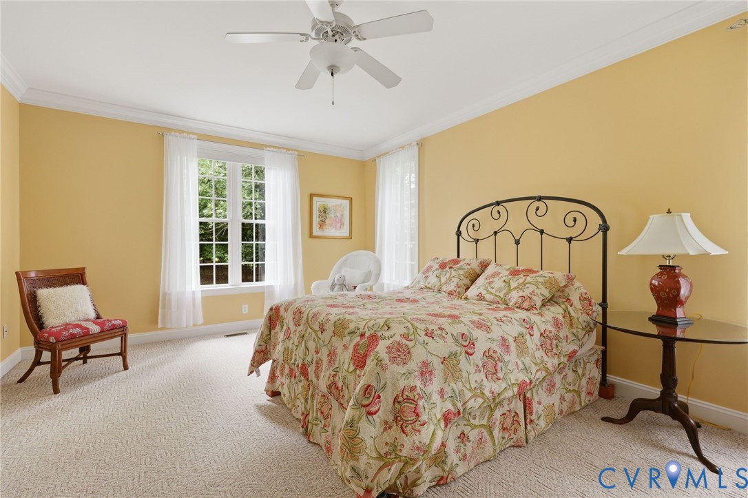 Spacious room featuring broadloom carpeting, crown molding, and a ceiling fan