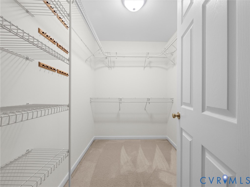Walk-in closet featuring wire shelving, wall-mounted wooden hook racks, carpeted flooring, and a flush mount ceiling light
