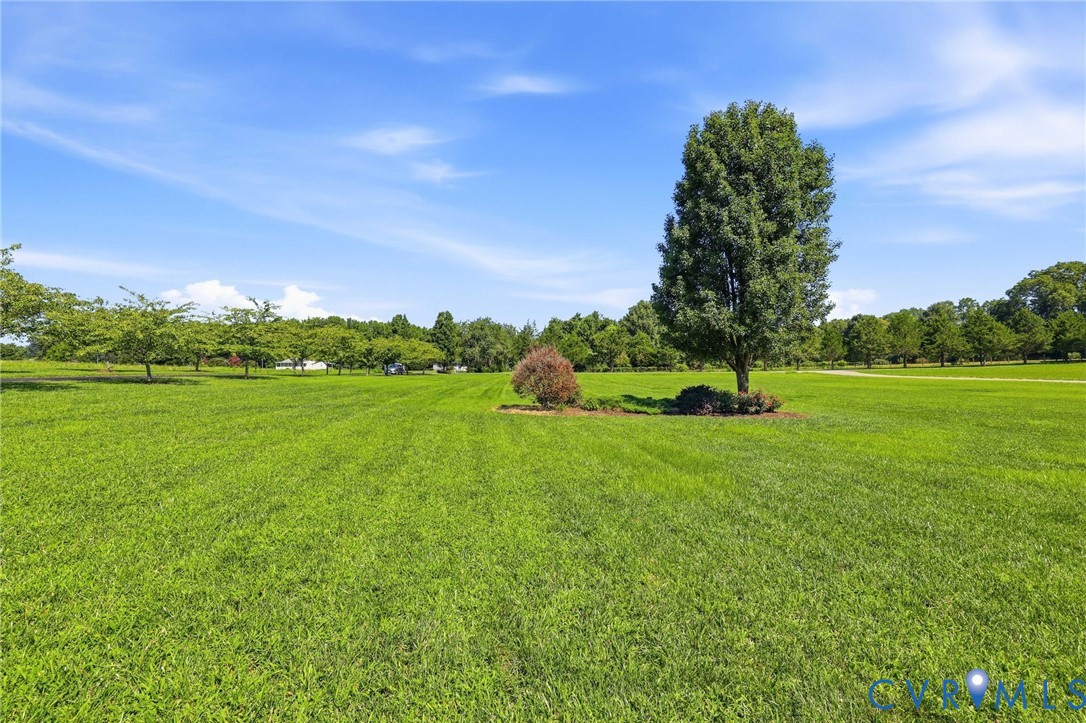 Expansive green lawn with mature trees under a clear sky