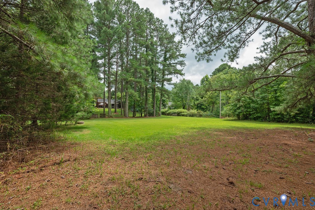 View from 3/4 yard boundary back towards the house.