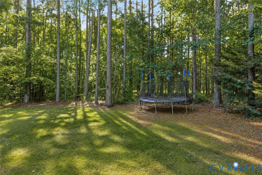 Grassed yard with mature trees and dense foliage