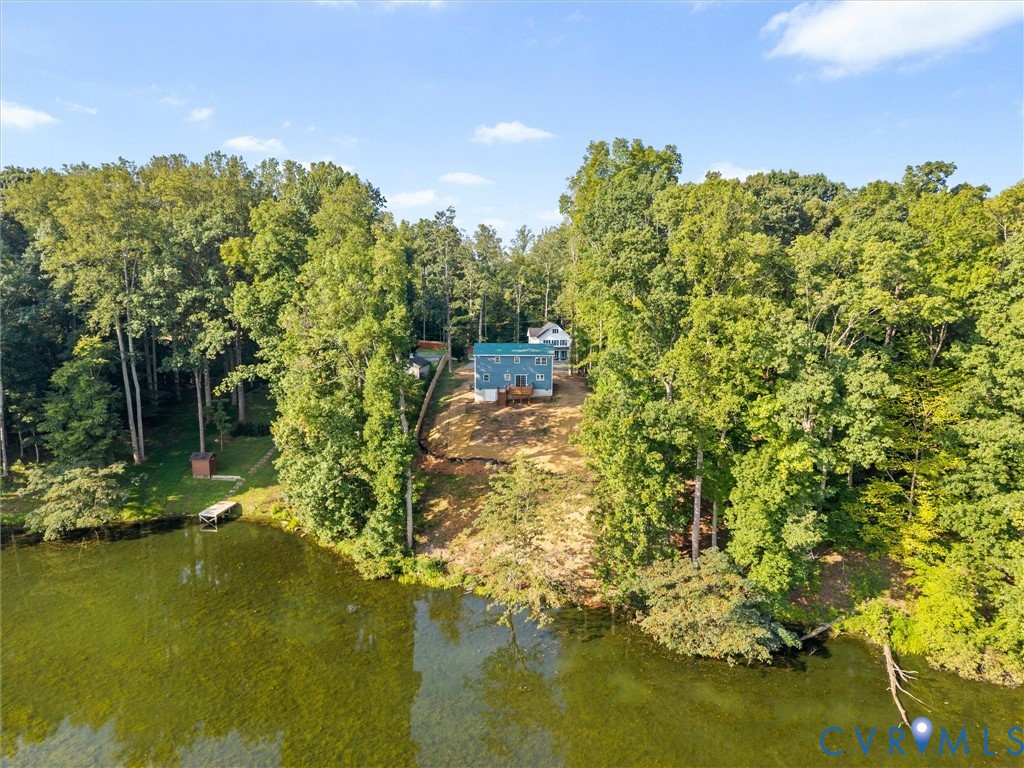 Lakefront property featuring a private dock, mature tree surround, and a light blue exterior