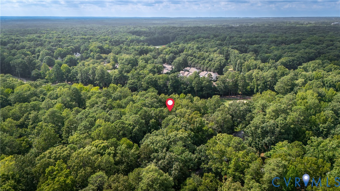 Expansive wooded acreage featuring dense tree cover and verdant canopy