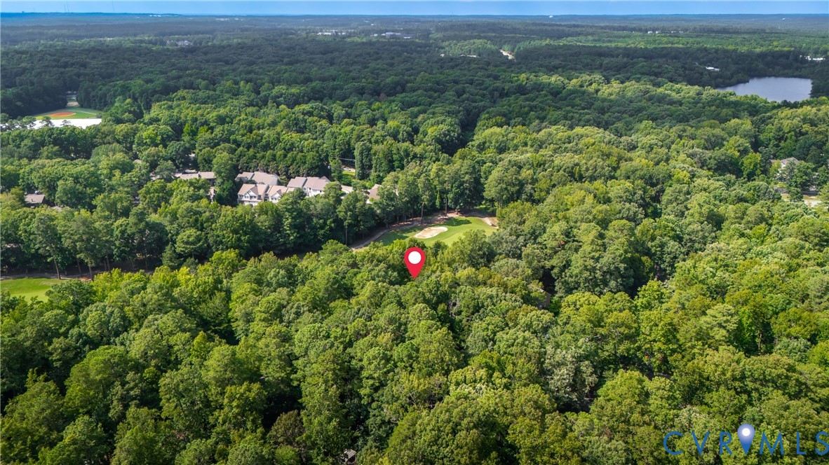 Serene wooded setting with mature tree canopy providing natural privacy and seclusion