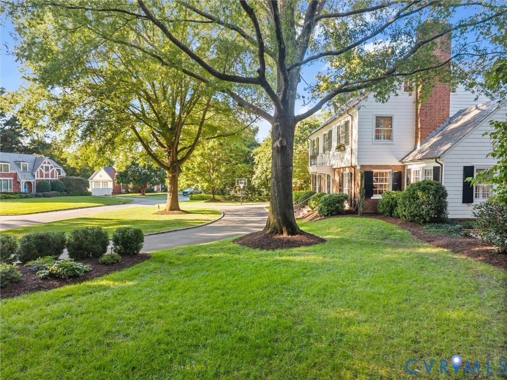 Lovely side yard with mature plantings