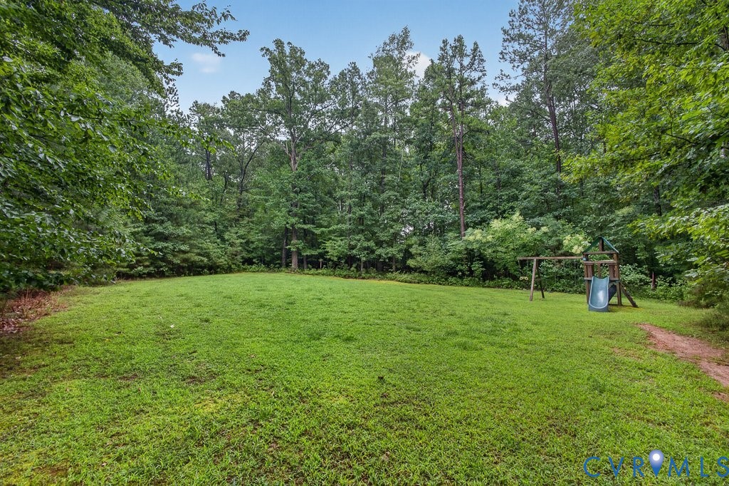 Expansive grassy yard area with dense mature trees at the perimeter