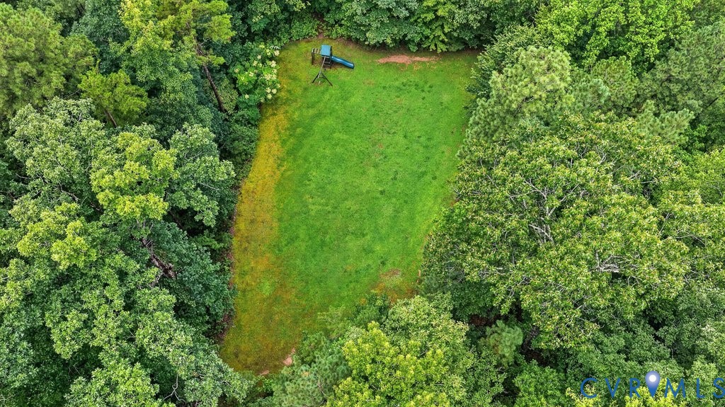 Expansive grassy clearing surrounded by a dense tree line