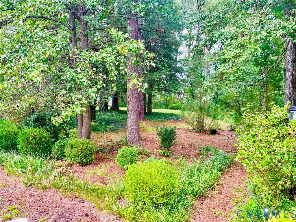Over 1 acre! Expansive natural landscaping featuring mature trees, manicured shrubs, and varied ground cover Over 1 acre! Expansive natural landscaping featuring mature trees, manicured shrubs, and varied ground cover