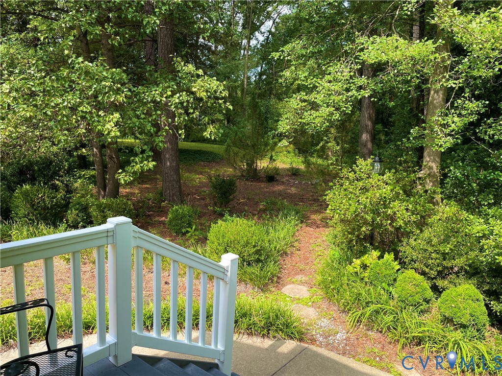 Wooded backyard with mature trees and established plantings