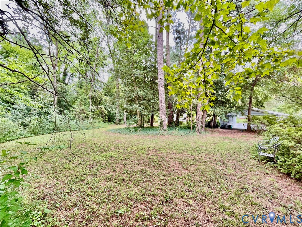 Expansive natural backyard with mature trees