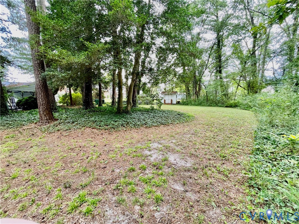 Expansive yard featuring mature trees, ground cover, and a detached storage shed