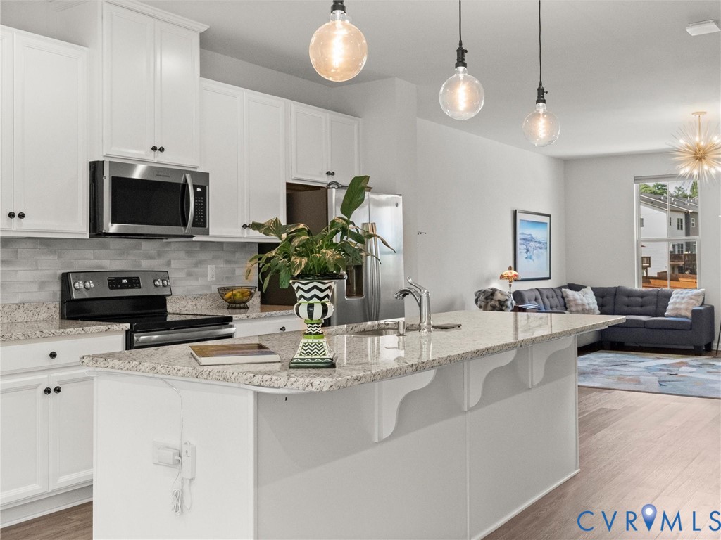 4523 Wistar Woods Trail, Henrico, VA 23228