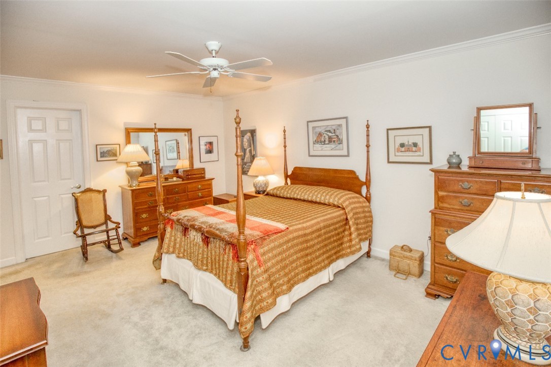 Wall-to-wall carpeting and white walls with crown molding