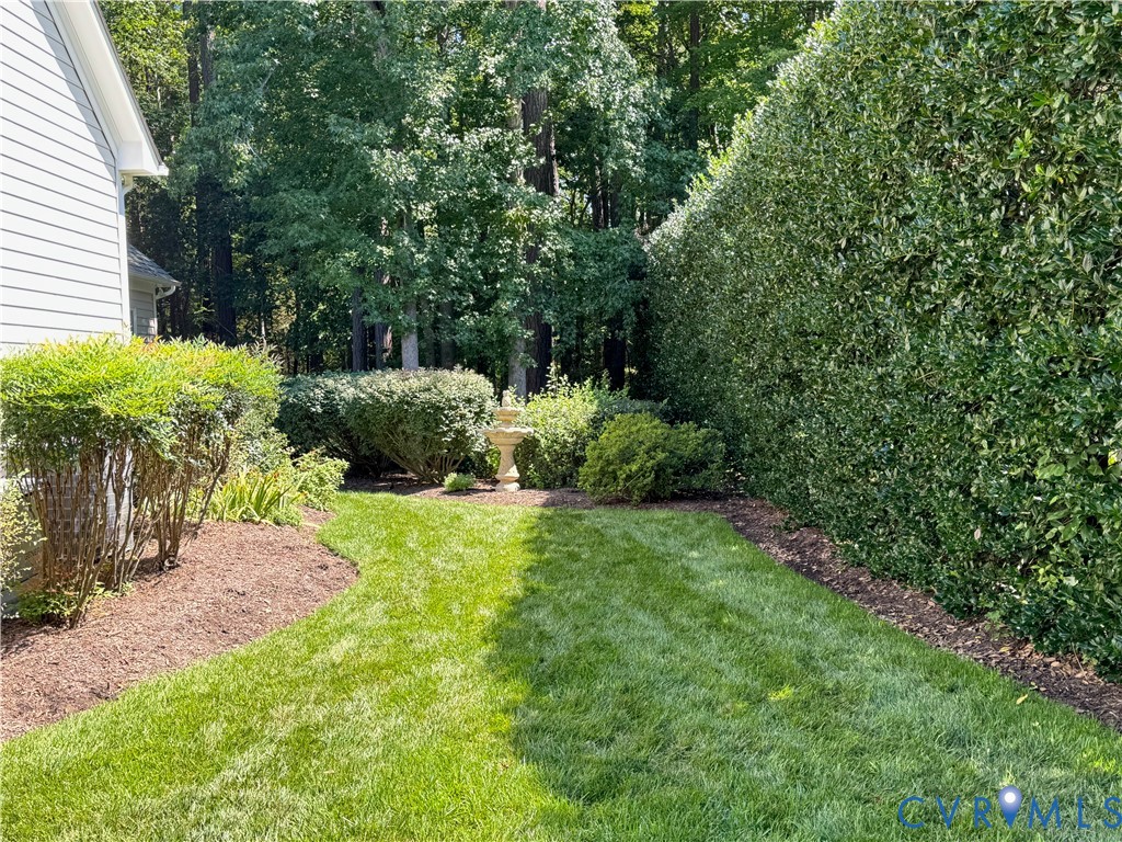 Side yard