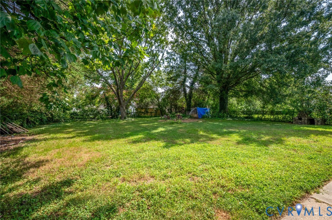 Expansive grassy area with mature shade trees and a concrete edge Expansive grassy area with mature shade trees and a concrete edge