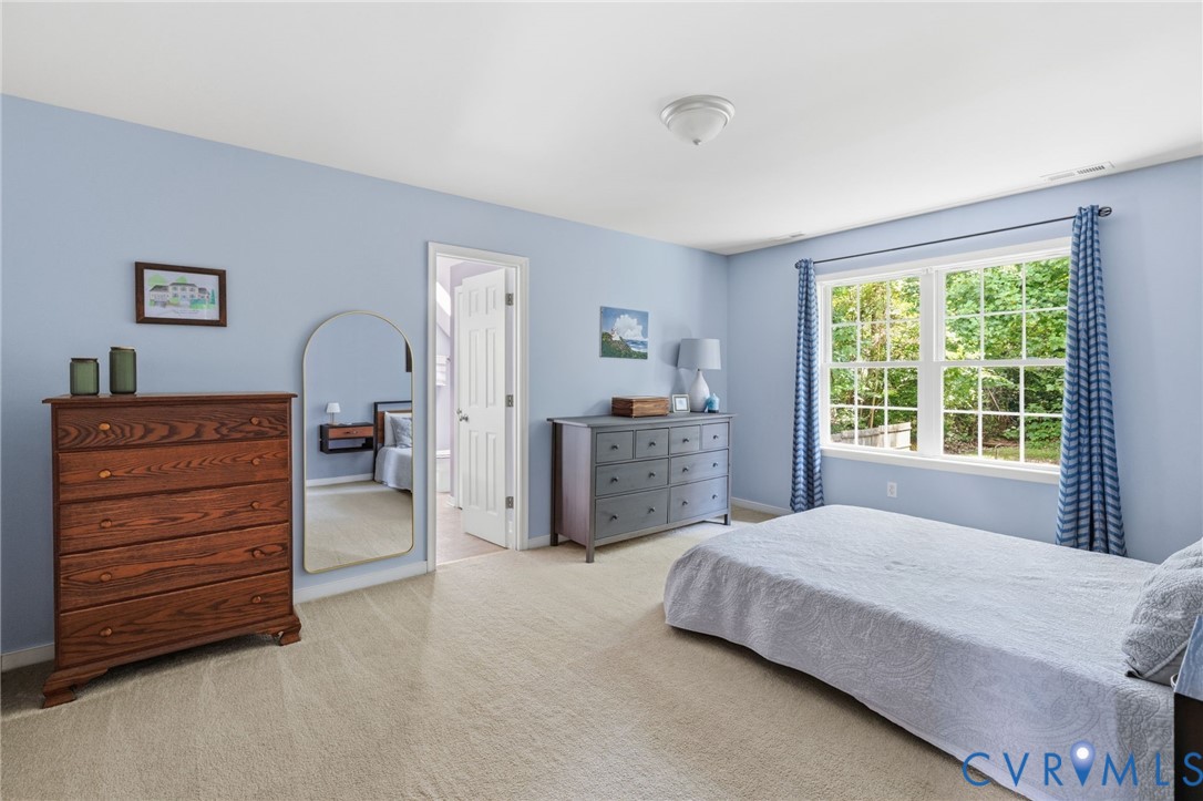 Wall-to-wall carpeting, window with outdoor scenery, and ceiling-mounted light fixture