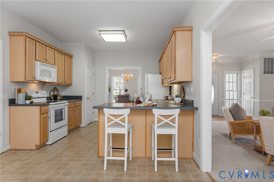 11124 Sweetbay Arbor Place, Chester, VA 23831